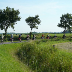 2008
